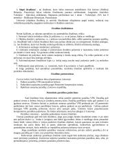 Išradimų patentologija 4 puslapis