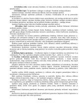 Išradimų patentologija 6 puslapis