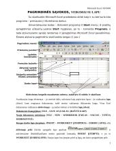 Pažintis su skaičiuoklės programa MS Excel 2 puslapis