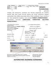 Pažintis su skaičiuoklės programa MS Excel 11 puslapis