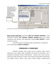 Pažintis su skaičiuoklės programa MS Excel 14 puslapis
