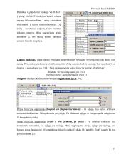 Pažintis su skaičiuoklės programa MS Excel 19 puslapis