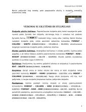 Pažintis su skaičiuoklės programa MS Excel 4 puslapis