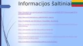Lietuva 10–oko akimis. Lietuvos politinė sistema 11 puslapis