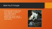 Mano perskaityta knyga - “Kaukas Gugis ir kerų karas“ 3 puslapis