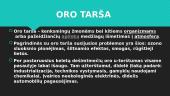 Oro, vandens ir dirvožemio tarša. Šiltnamio efektas ir dirvožemio erozija 3 puslapis