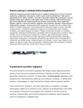 Kompiuterių žala 4 puslapis