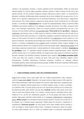 Psichologija ir konfliktai 2 puslapis