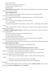 Regionų administravimas (konspektas) 12 puslapis