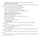 Regionų administravimas (konspektas) 19 puslapis