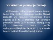 Įsiurbimas ir kepenų veikla 2 puslapis