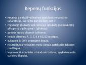 Įsiurbimas ir kepenų veikla 12 puslapis