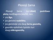 Įsiurbimas ir kepenų veikla 10 puslapis