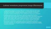 Autorių teisės ir programinė įranga 7 puslapis