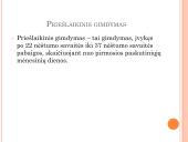 Ūmios būklės akušerijoje  4 puslapis
