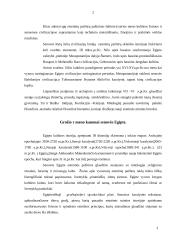 Senovės Rytų civilizacijų estetinių idėjų raida 2 puslapis