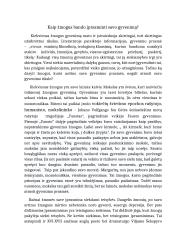 Kaip žmogus bando įprasminti savo gyvenimą? (Gėtė, Šekspyras)