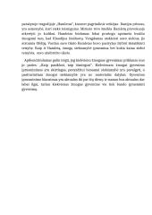 Kaip žmogus bando įprasminti savo gyvenimą? (Gėtė, Šekspyras) 2 puslapis