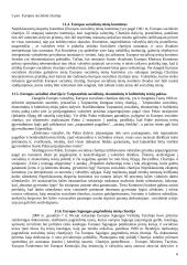 Socialinės teisės Europos Sąjungoje 6 puslapis