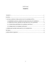 Didžiųjų raidžių rašymas įvairių institucijų ir dokumentų pavadinimuose  2 puslapis