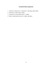 Didžiųjų raidžių rašymas įvairių institucijų ir dokumentų pavadinimuose  11 puslapis