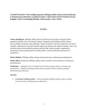 Didžiųjų raidžių rašymas įvairių institucijų ir dokumentų pavadinimuose  3 puslapis