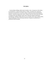 Didžiųjų raidžių rašymas įvairių institucijų ir dokumentų pavadinimuose  10 puslapis