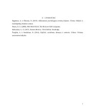 Atvaizdžio atminties tyrimas 7 puslapis