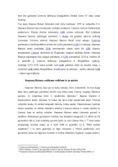 Steponas Batoras 17 puslapis