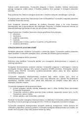 Strateginis planavimas viešajame sektoriuje 2 puslapis
