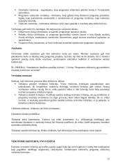 Strateginis planavimas viešajame sektoriuje 12 puslapis