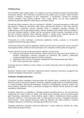 Strateginis planavimas viešajame sektoriuje 3 puslapis