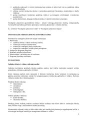 Strateginis planavimas viešajame sektoriuje 4 puslapis