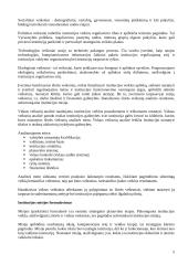 Strateginis planavimas viešajame sektoriuje 5 puslapis