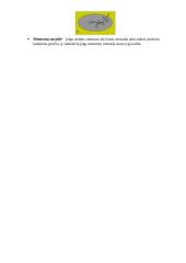 Geras pasiruošimas fizikos egzaminui 9 puslapis