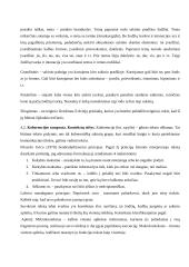 Teksto lingvistika 2 puslapis