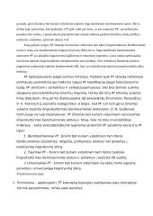 Teksto lingvistika 4 puslapis