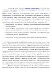 Teksto lingvistika 9 puslapis