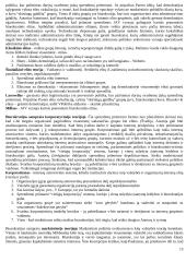 Platus pasiruošimas viešojo administravimo egzaminui 13 puslapis