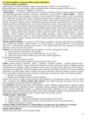 Platus pasiruošimas viešojo administravimo egzaminui 17 puslapis