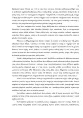 Vietos savivaldos samprata 12 puslapis