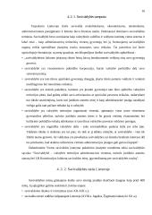 Vietos savivaldos samprata 10 puslapis