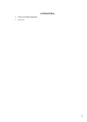 Vietos savivaldos principai 11 puslapis