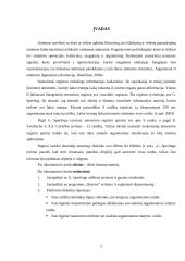 Ikoninės atminties tyrimas 2 puslapis