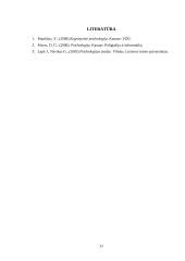 Ikoninės atminties tyrimas 11 puslapis