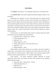 Ikoninės atminties tyrimas 3 puslapis