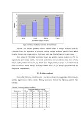 Ikoninės atminties tyrimas 6 puslapis