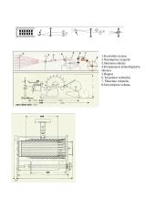 Juostinė metimo mašina ir jos veikimas 2 puslapis