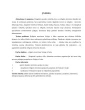 Religijos įtaka Sirijoje ir Irake 2 puslapis