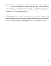 Plačiaformatės (pjaustomos) produkcijos darbų apimties skaičiavimas 3 puslapis